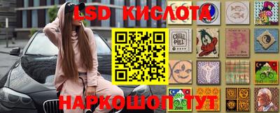 альфа пвп Новодвинск
