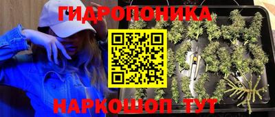 mix Новокубанск