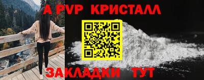 альфа пвп Новодвинск